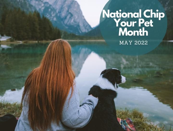 National Chip Your Pet Month