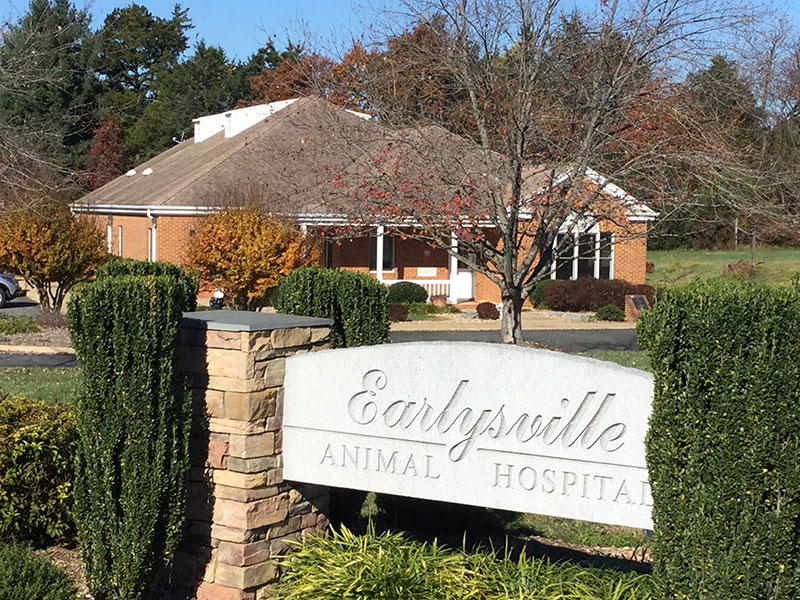 Earlysville VA pet hospital