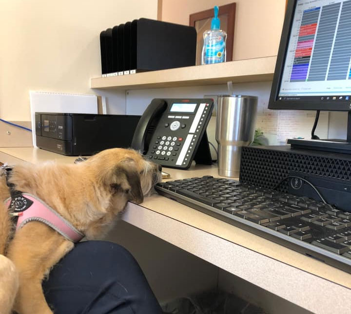 Earlysville Animal Hospital Payment Options
