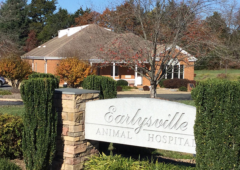 Carousel Slide 1: Earlysville Animal Hospital