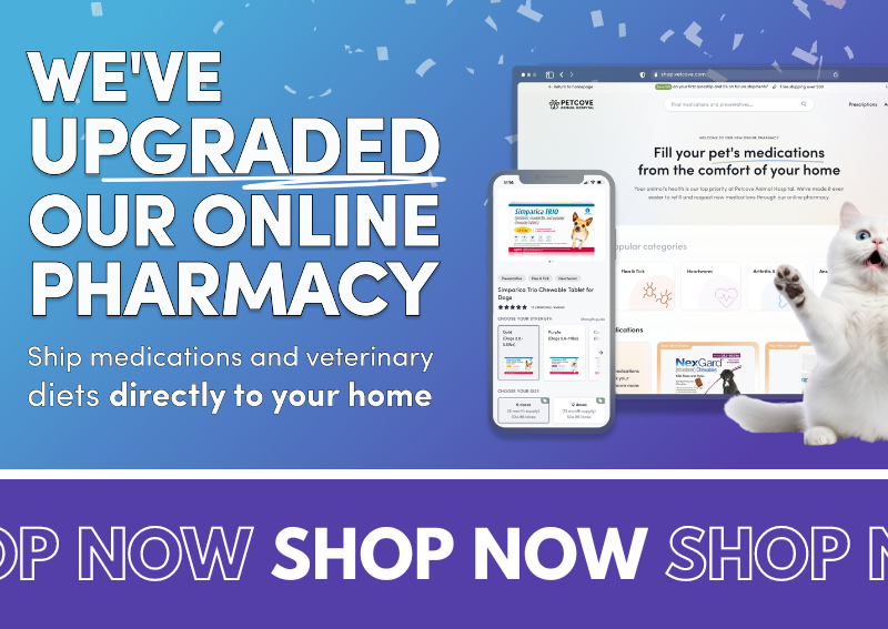 Carousel Slide 3: Shop our Online Pharmacy