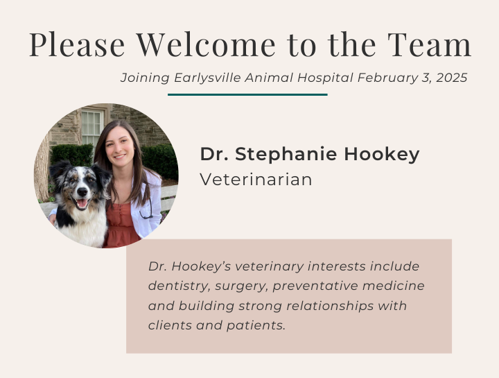 Please Welcome Dr. Stephanie Hookey to the Team!